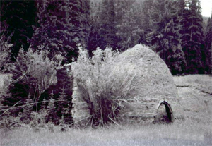 Black-and-white image of an overgrown charcoal kiln. Photo taken 1999.
