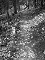 A black and white photo of the trail with a line of rocks on the left and trees standing in the background.