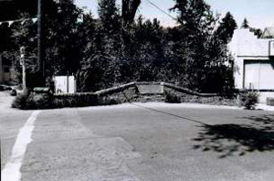 A view of the bridge in black and white with trees in the background and pavement on the ground in front.