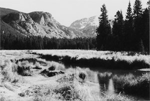 A black and white photo of the trail with grass before some tall pine trees in the distance and mountains beyond them.