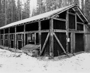 A black and white photo of the barn from an angle with an overhanging gable roof and snow on the surfaces. The walls are covered with wood exposed wood framing and in the background are tall trees. 