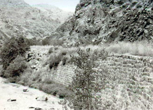 A black and white photo of the canyon. 