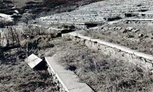 A black and white photo of the amphitheater with some overgrowth over the seats. 