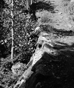 A black and white photo of the trail next to some trees below on the left.