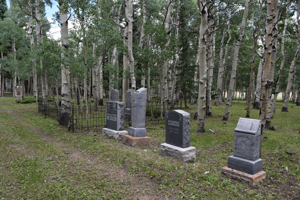 A photo of some tombstones over some green grass with a group of aspen trees behind. 
