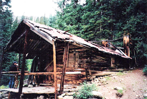 A picture of a dilapidated cabin with overhanging gable and log walls and a person on the left and large pine trees in the background.
