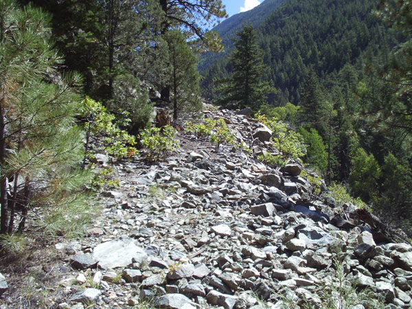 A view of the trail with grey stones surrounded by green trees and mountains in the background.