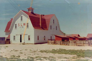 A picture of the barn with white walls and gambrel red roof with red pitched roof coups on the right. 