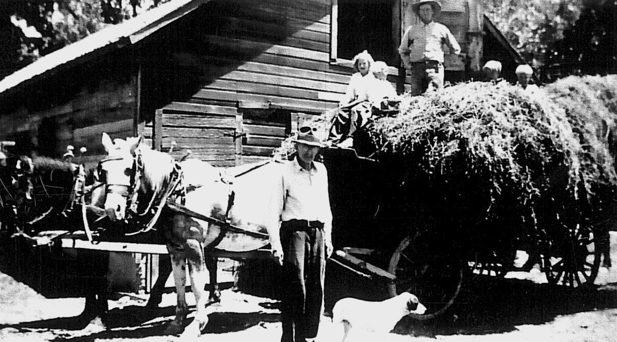 Historic image showing a wagon load of hay outside a barn.