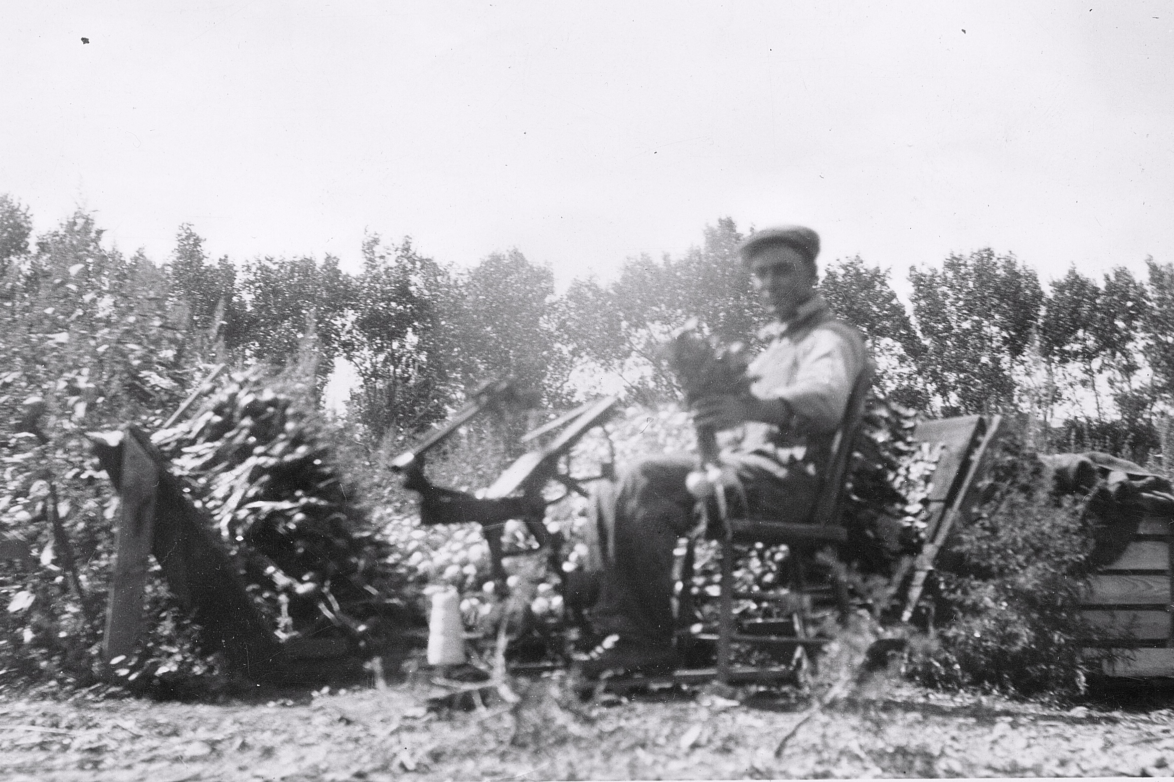 Center Greenhouse field worker, 1940s.
