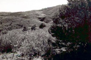 A black and white photo of the pass with rolling hills and trees.