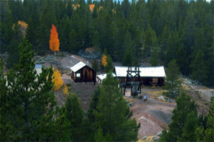 A view of a couple buildings with a scaffold structure before the building on the right. Around the site stand very tall mostly pine trees.