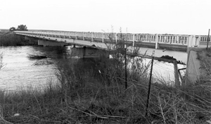 A black and white photo of the bridge with a few abutments over a river and with some grassy foliage in front.