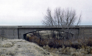 A picture of the gray bridge from a hill with a leafless tree before it.