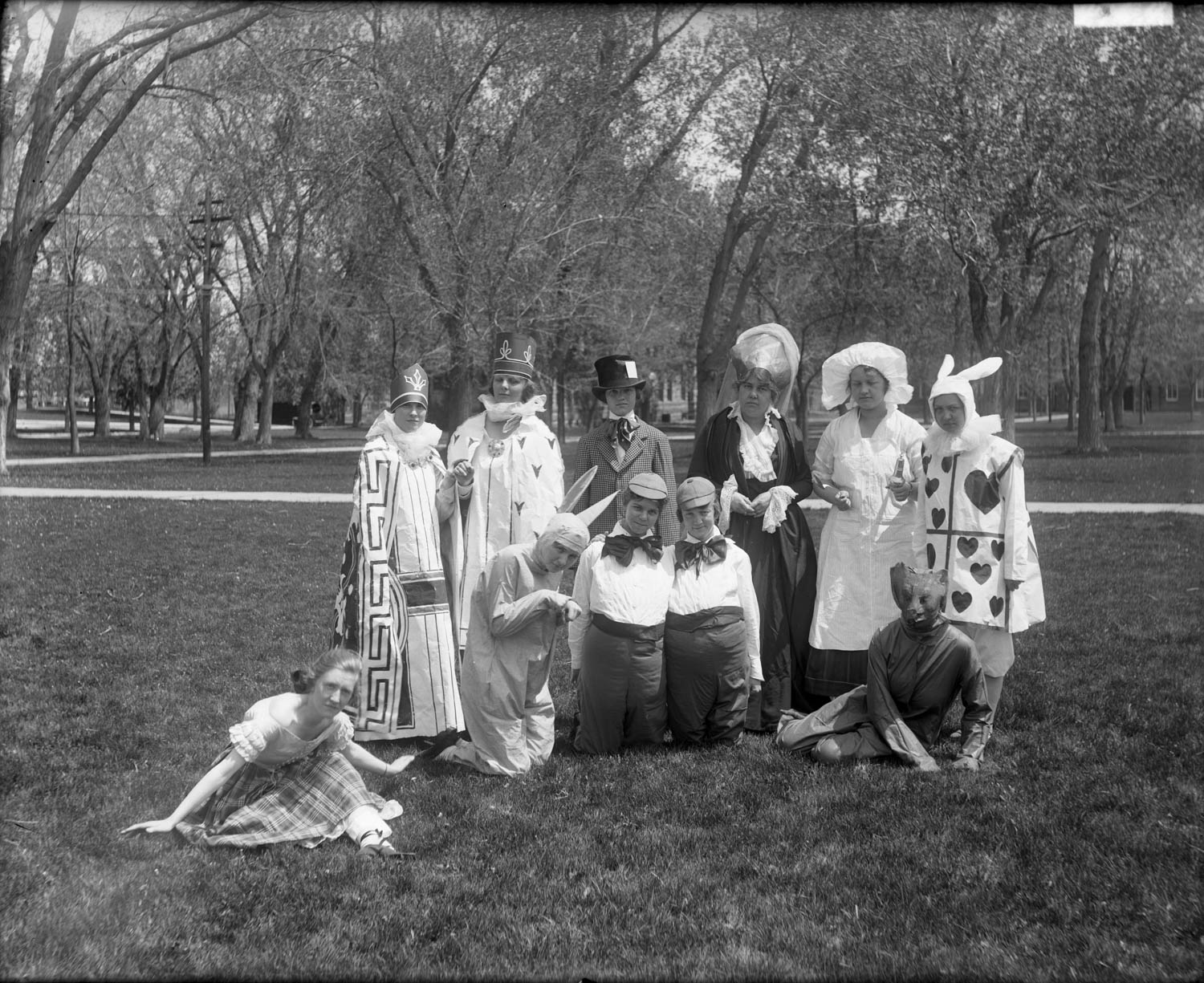 A group of individuals dressed as various characters from Alice in Wonderland, including Alice, Tweedle-Dee and Tweedle-Dum, the Queen of Hearts, the Mad Hatter, and the White Rabbit.