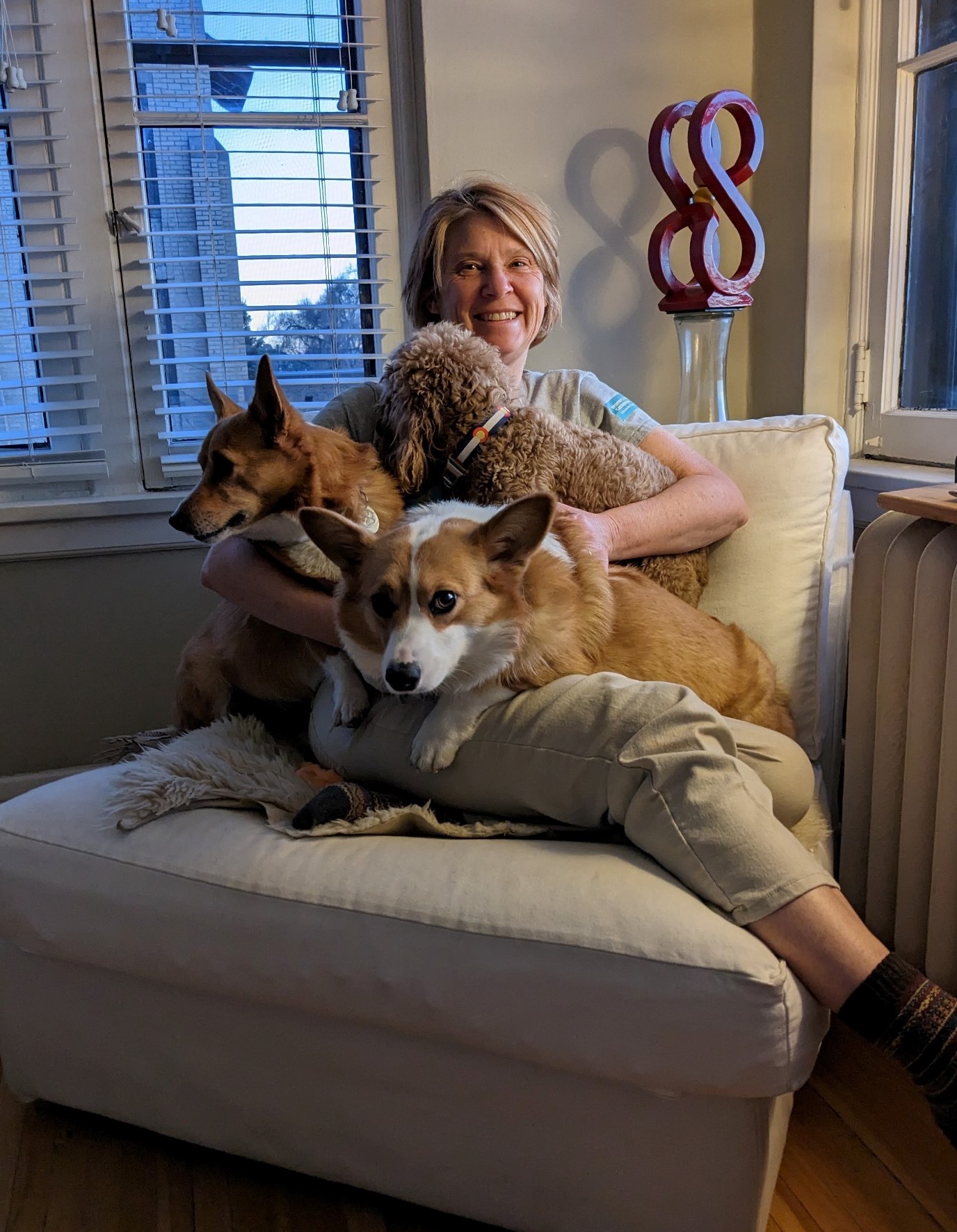Photo of three fluffy canines, sitting atop their own Susan Fries who is seated in a comfy upholstered white chair. Masie and Baker, the two Corgis, and their friend Lady, look to be keen for cuddles from their "dog mom."
