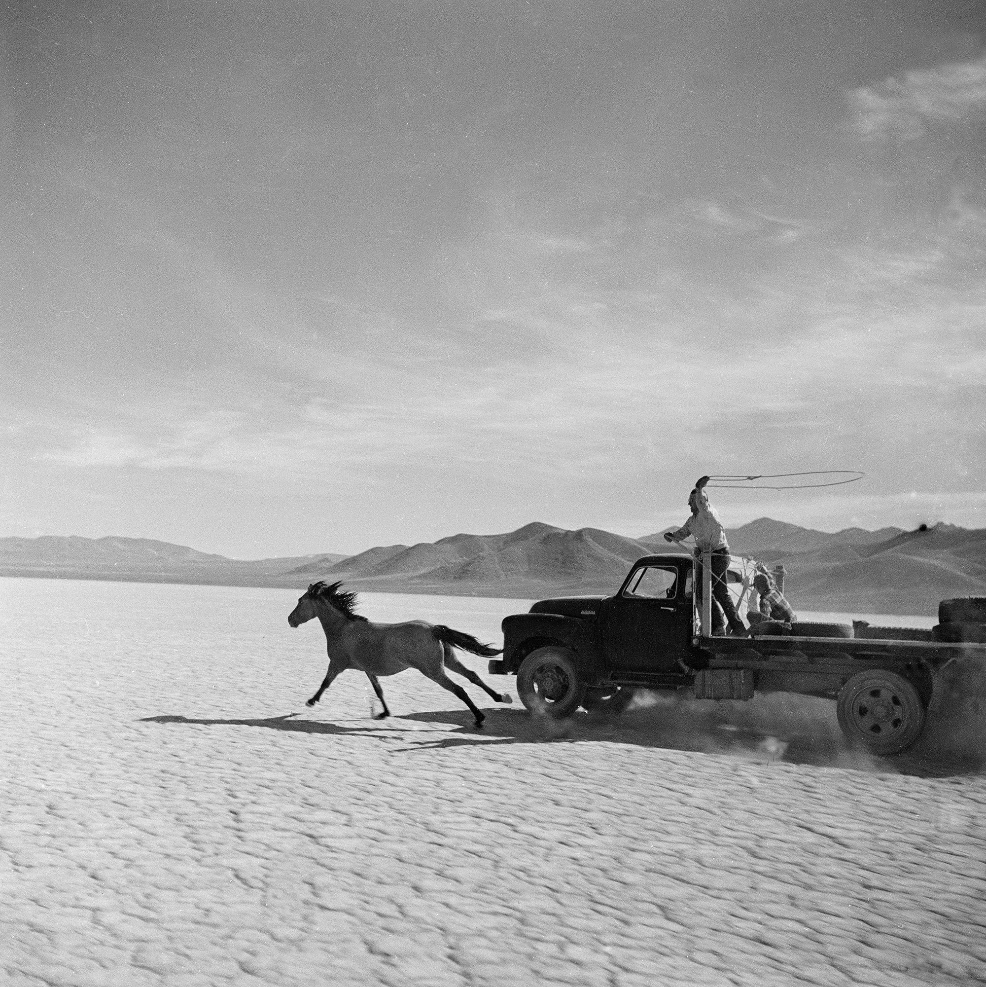 A wild horse running along a dusty valley floor, being chased by a pickup truck. A man stands up in the bed of the pickup, whirling a lasso overhead, ready to capture the horse.