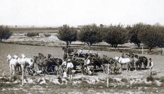 Teams of horses and equipment with Carl and Harold Westesen in the foreground, 1912.