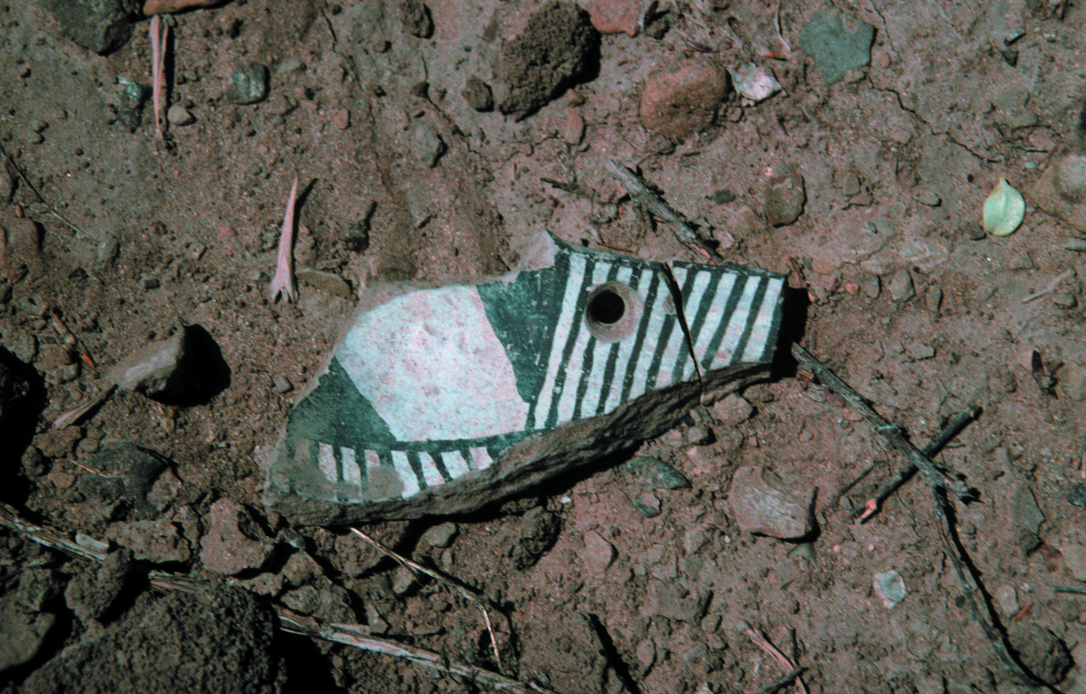 A ceramic sherd with painted black-on-white decoration and a drilled hole.