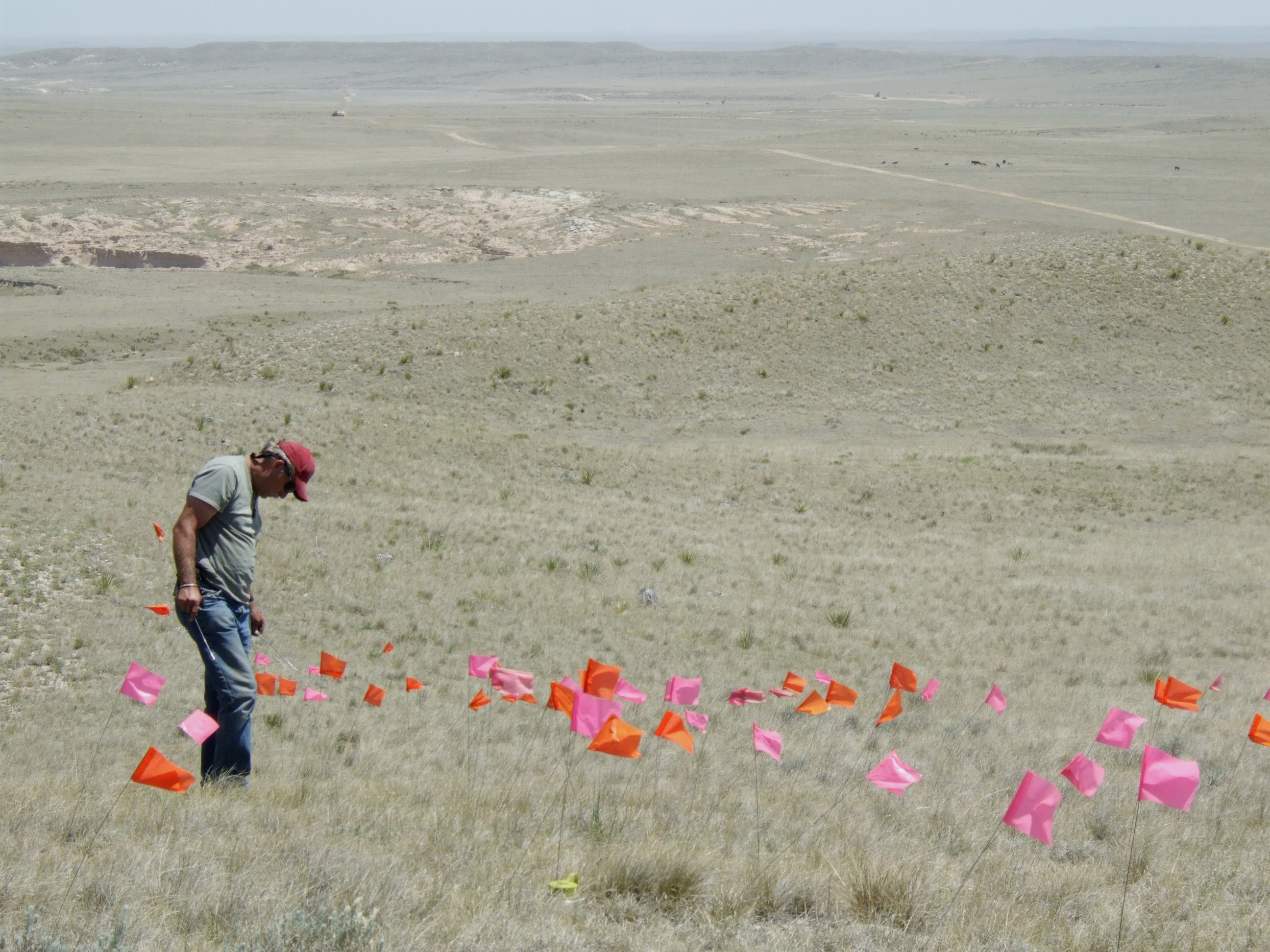 PAAC volunteer Larry Scarborough marking artifacts on a site near Pawnee Buttes.
