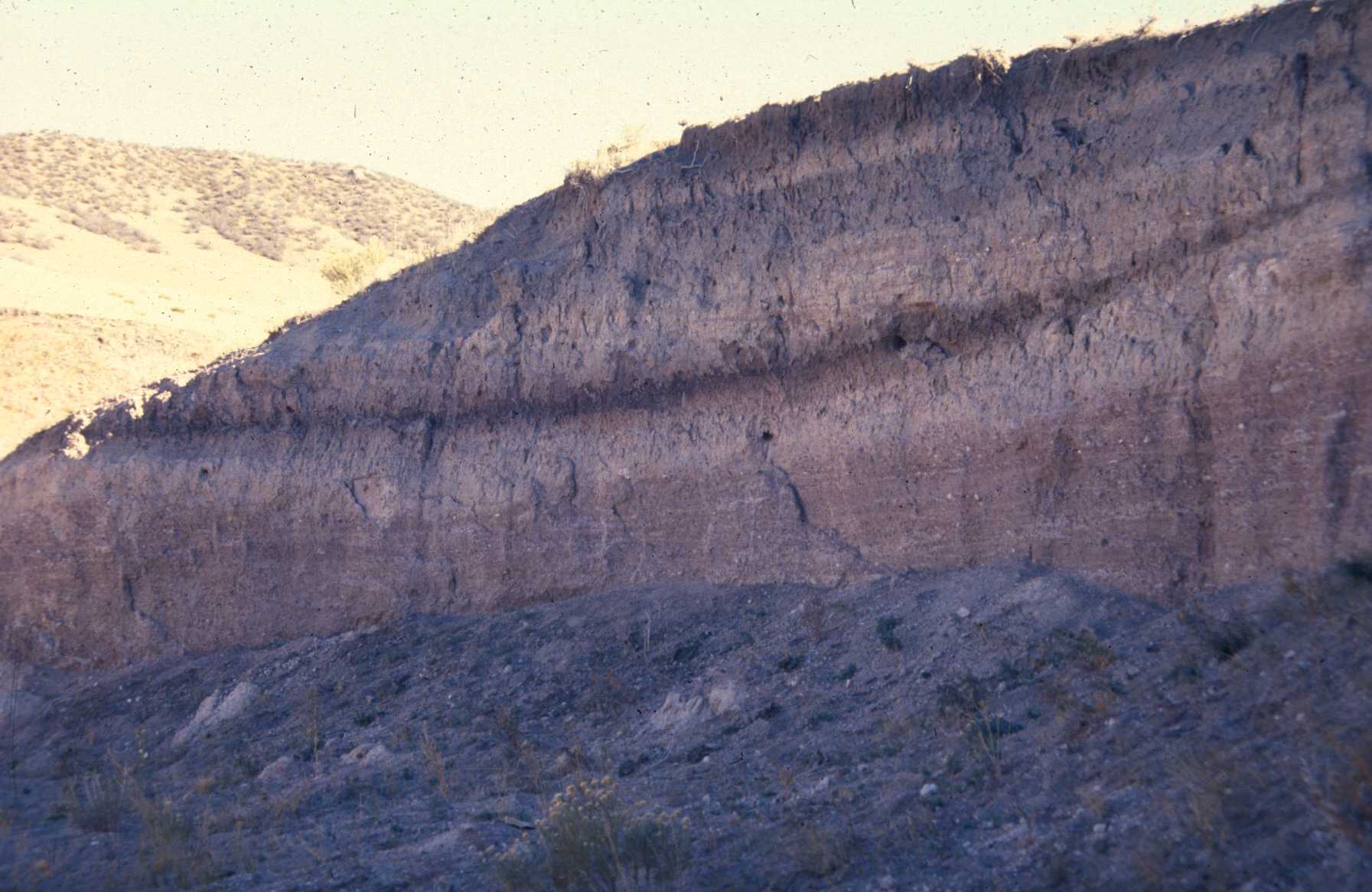 Photograph showing stratigraphic layers in a cut bank.