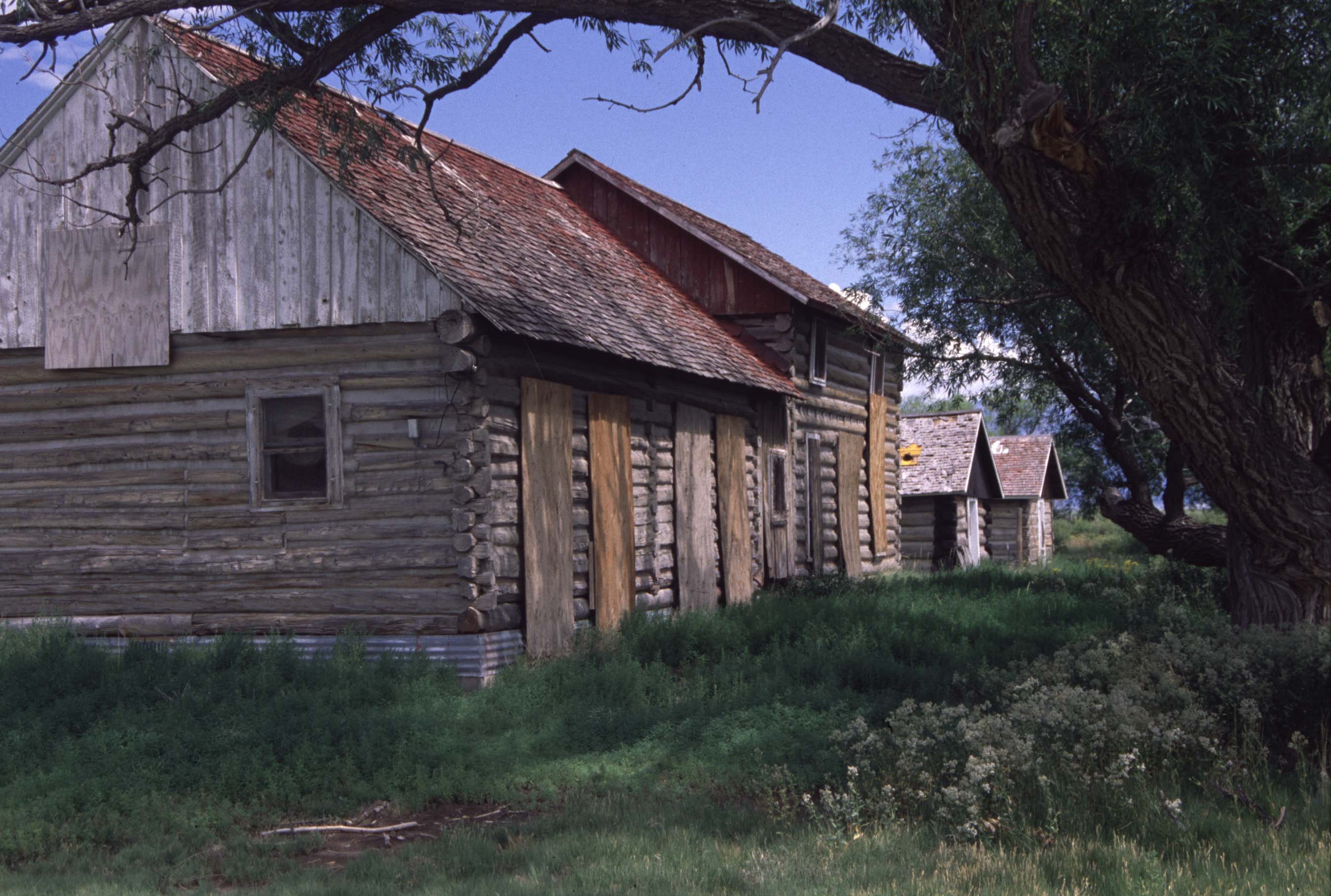 Log buildings on the Medano Ranch Headquarters in 1988.