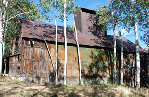 A photo of the multi-colored building with upward protruding section. In the foreground stand several aspen trees. 