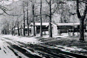 Log cabins along a dirt road at the Vicksburg Mining Camp.
