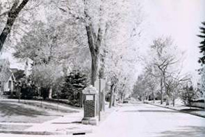 A black and white photo of a street with a post and stop sign in the center and trees lining the streets on the side. 