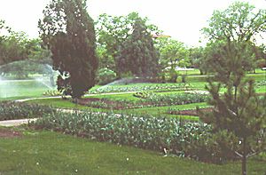 A photo of the green park with many green trees and hedges