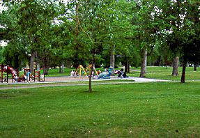 A photo of the park with some playground equipment in the distance and trees beyond that. 