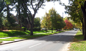 A view of the street-lined road going by some green grass on either side with a sidewalk to the right.