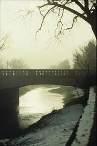 A view of a bridge from the right bank of a river, with snow covering the bank and a leafless tree coming out of the right corner. 