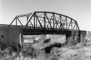 A view of the bridge in black and white covered by large truss and with brush below. 