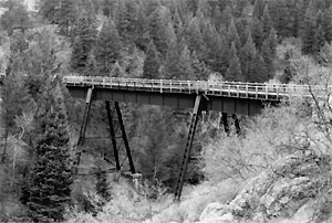 A photo of the bridge in black and white. There are several large pine trees before and after the bridge.