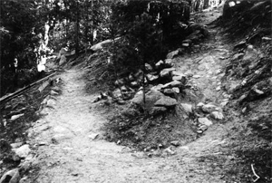 A black and white photo of the trail switching back with trees in the background and rocks and dirt in the front.