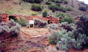 A photo of the red rock and and dispersed grass and bushes with a white sign near the center. 