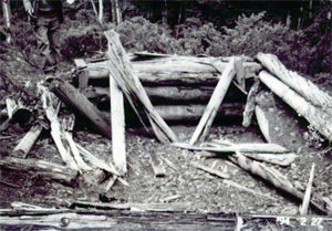 A black and white photo of the ruins of a cabin