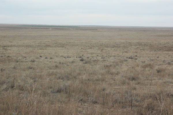 A picture of a brown grassy field.