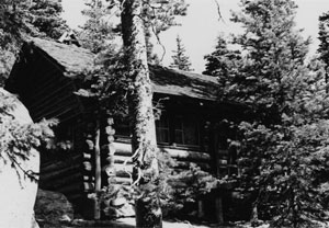 A black and white photo of the cabin behind some large evergreen trees and a large boulder on the side. 