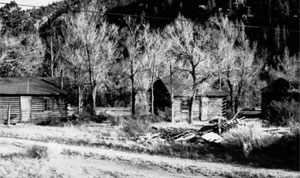 A black and white photo of a couple of cabins in the distance with leafless trees around them, and a rising hill behind them. 