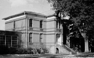 A photo of the building in black and white. There is a staircase leading up to the entrance and large leafy tree on the right. 