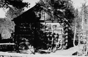 A black and white photo of the front of the cabin with gabled roof and tree shadow over the facade. In the background are trees all around.