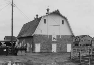 A black and white photo of the barn with gambrel roof. 