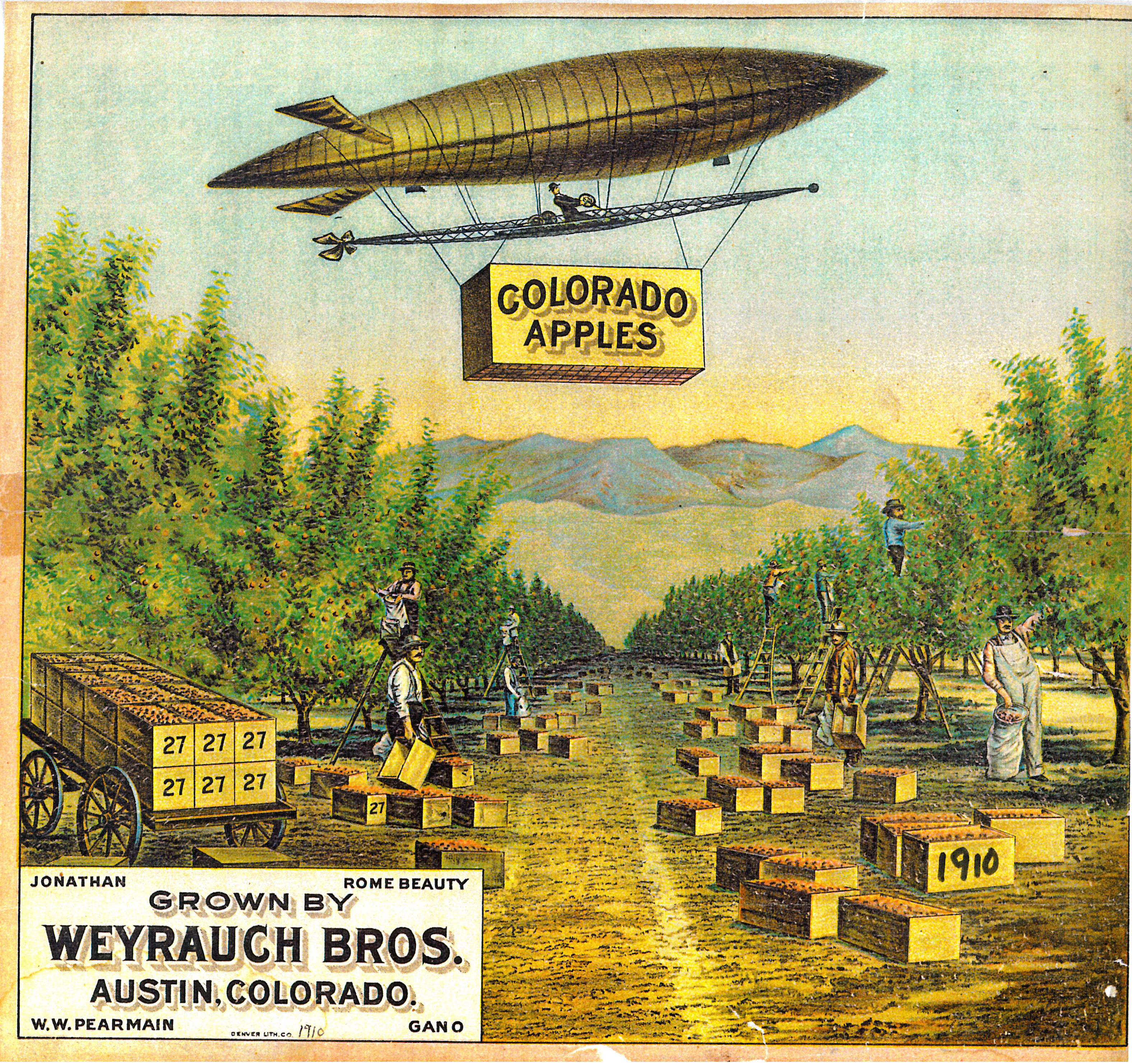Colorado Apple Poster from Weyrauch Bros.