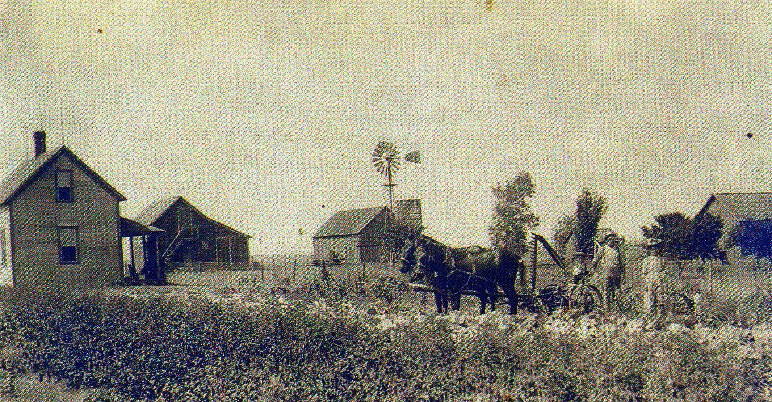 Brekel Farm at Pilot Point, Texas, 1908-1912.