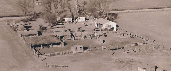 Aerial view of the Irwin Farm.