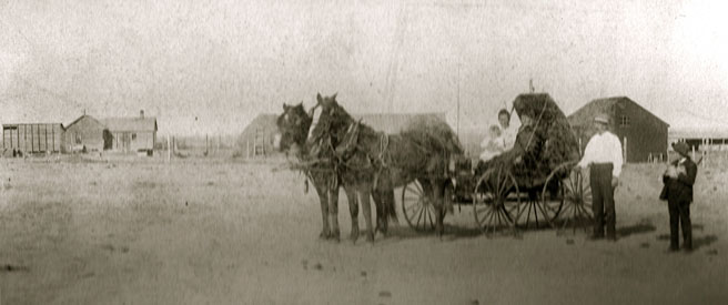 Historic image showing the Lindahl family with a two horse buggy.