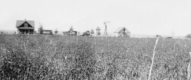 Historic photograph looking across the Whomble-Welton Farm and Ranch.