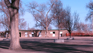 A picture of a one-story building with brick walls on the grounds with several tall leafless trees all over. 